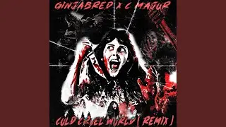 Cold Cruel World (feat. C-Major) (Remix)