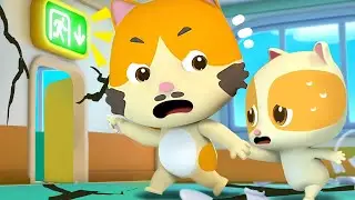 Earthquake Safety Song | Safety Tips for Kids | Nursery Rhymes | Cartoon for Kids | BabyBus