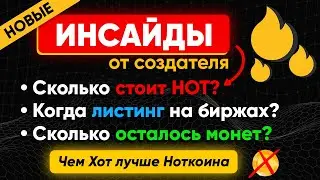 Инсайды от создателя ХОТ: Сколько стоит HOT? Когда ЛИСТИНГ на бирже? Сравнение с Notcoin