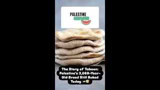 The Story of Taboon: Palestine’s 3,000-Year-Old Bread Still Baked Today 🇵🇸🍞