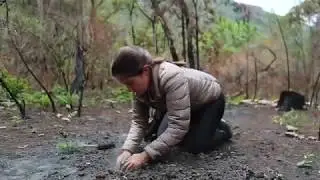Donate a Tree: Girl in the Woods I