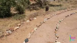 Virtual Labyrinth Walk