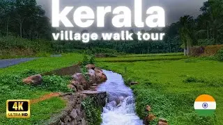 Kerala rural village walking tour, ASMR , country side south indian village