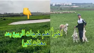 اخيراً لغنم سهل عليها الله خرجت من شهر 6 2025 حتال شهر 2 2026 عاد خرجت لغنم 