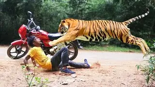 👹Night Drive In Mohan | Jim Corbett National Park | Night Jungle Drive @lifestylevlog656