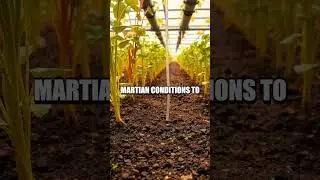 Elon Musk's Covert Mars Greenhouse: Earthly Seeds in Martian Soil