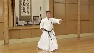 Tawada no Sai (多和田のサイ) / Ryukyu Kobudo Kongo-ryu
