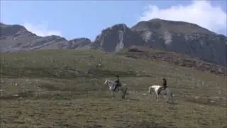 The Willmore Experience movie trailer