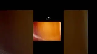 Cara Bikin foto menjadi vidio joget Daboy dance Trend di Tiktok