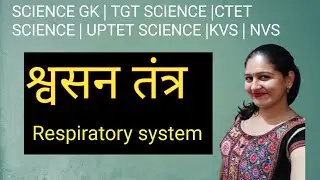 Respiratory system | श्वसन तंत्र  | science gk |Tgt science 