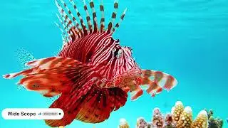 Lionfish: The Beautiful Invader Disrupting Marine Ecosystems।