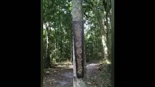 Dutton Preserve Trail