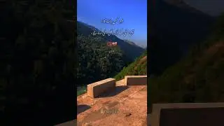 #poetrylife #viral #poetry #standwithkashmir