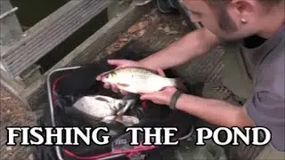 'Steve Outdoors' fishing the pond