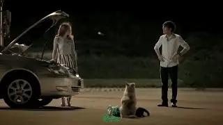 A Little Kindness Goes a Long Way 🐶 | Heart Touching Dog Story | Kompa-Parano