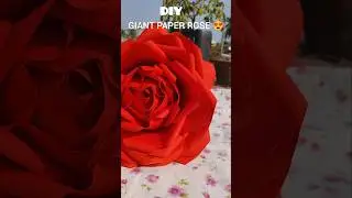 Giant Paper Rose 🌹 Big Paper Flower Craft Using Paper & Glue Gun#giantroseflowers#trending#tweening