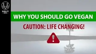 Why You Should Go Vegan  - Life Changing Video