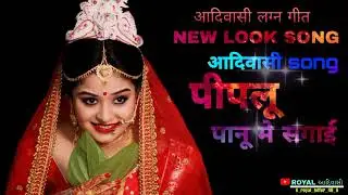 piplu paname sagai New aadivasi music