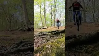 Natural features are fun! 🤘 #shorts #mtb #sendit