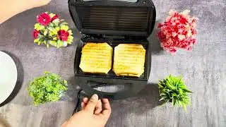 Customer speaks about truTRTL Toast Sandwich Maker
