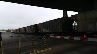 BNSF ES44AC #6008 lead a loaded southbound XCLX coal train past the same Pikes Peak local