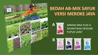 AB MIX VEGETABLE SURGERY MEROKE JAYA