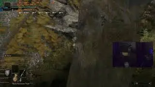 Building elden ring character fir legit pvp