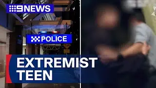 Brisbane teen accused of terrorism breaks down in court | 9 News Australia