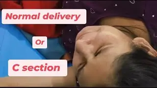 My Delivery Experience | My Normal Delivery  Story | Preganancy Vlog #pregnancyjourney #shivi