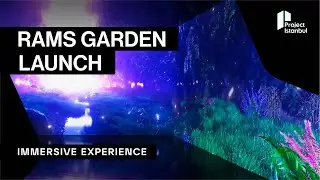 Immersive Room | Deneyim Alanı