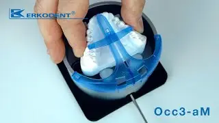 Occ3-aM, Occluform-3