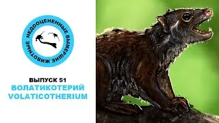 Недооцененные Вымершие Животные. Выпуск 51: Волатикотерий (Volaticotherium)