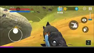 Shark videos
