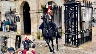 Incredible Horsemanship: Royal Guards Handle High Drama at Horse Guard!