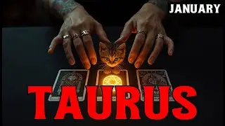 TAURUS 🥺THIS PERSON HAS LOVED YOU FROM THE START! YOU FELT TOO GOOD TO BE TRUE & IT SCARED THEM 💕7th