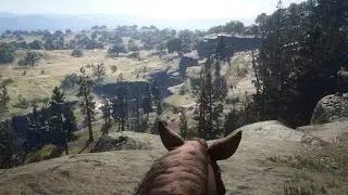 Red Dead Online Four of Pentacles Aurora Basin