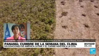 &iquest;Cu&aacute;les son los temas de Latinoam&eacute;rica que deber&iacute;an estar en la agenda de la COP28?