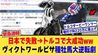トルコに渡った〇〇初年度からダービー馬を輩出し種付け料が爆上がりしてしまう【競馬反応集】