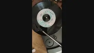 Kawis Axa - Şex Mehm&ucirc;d