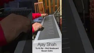 #Roli #seaboard #arrahman Song, Tu Hi Re played using #swam Cello 