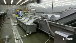Cleaning machine for food processing industry