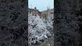 بدأت قناة 