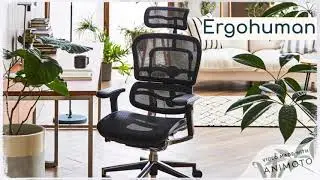 click and collect chair options