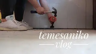 Csalódásos háznézés és kisház munkálatok *temesaniko VLOG*