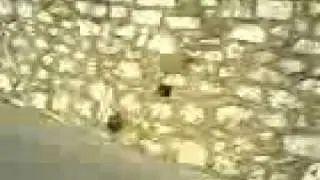 Lanser de boutei a monfor