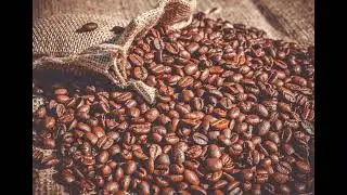 Le caf&eacute; Gonow, une aventure hitech &agrave; la ta&iuml;wanaise