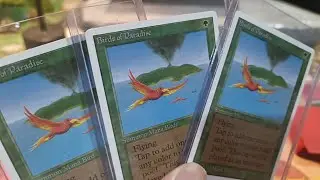 Bolt the Bird. The vintage deck that got Mana Screwed