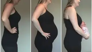 Watch My Belly Grow - Weekly Pregnancy Progression