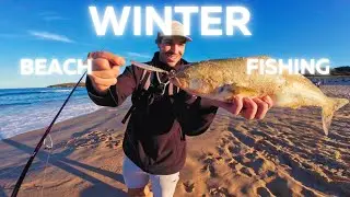 Spinning off popular Sydney beach - winter fishing