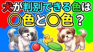 【衝撃】その愛情、実は逆効果!?犬が嫌がる7つの行動 #シーズー #感動 #犬のいる生活 